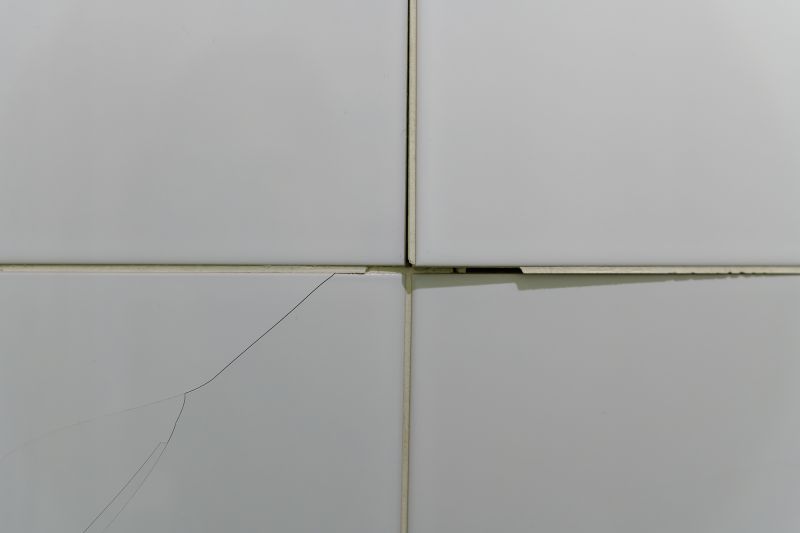Inspection of Tile Integrity
